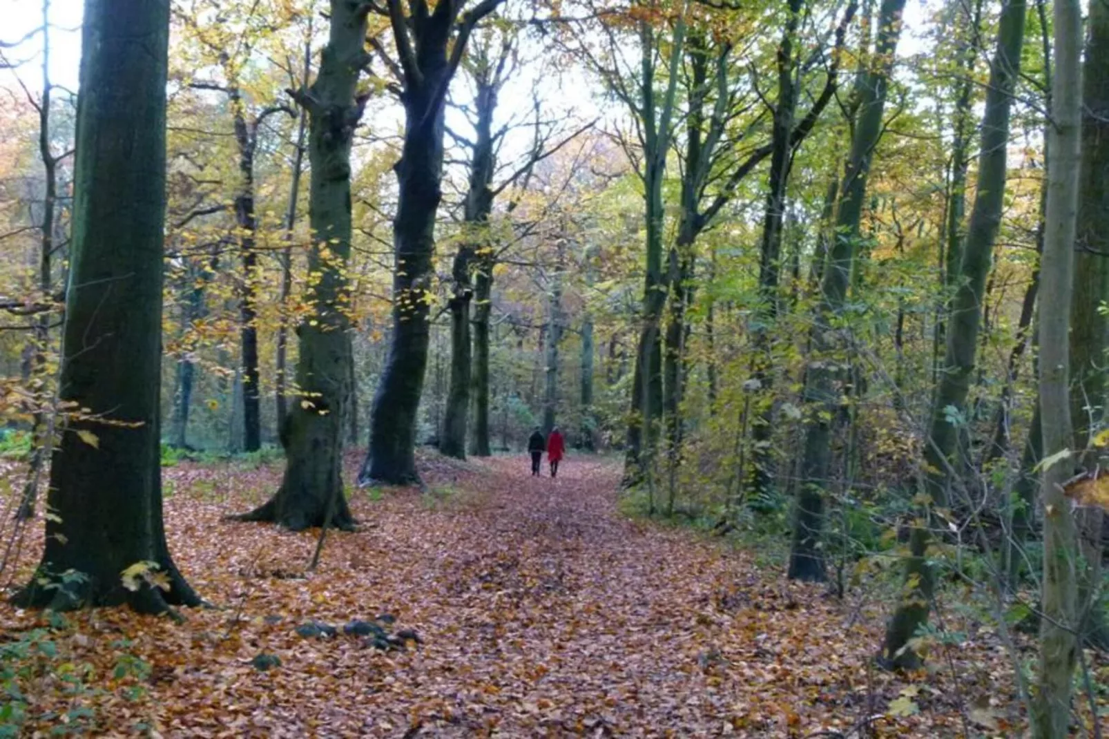 Strandpark Vlugtenburg 15-Gebieden zomer 20km