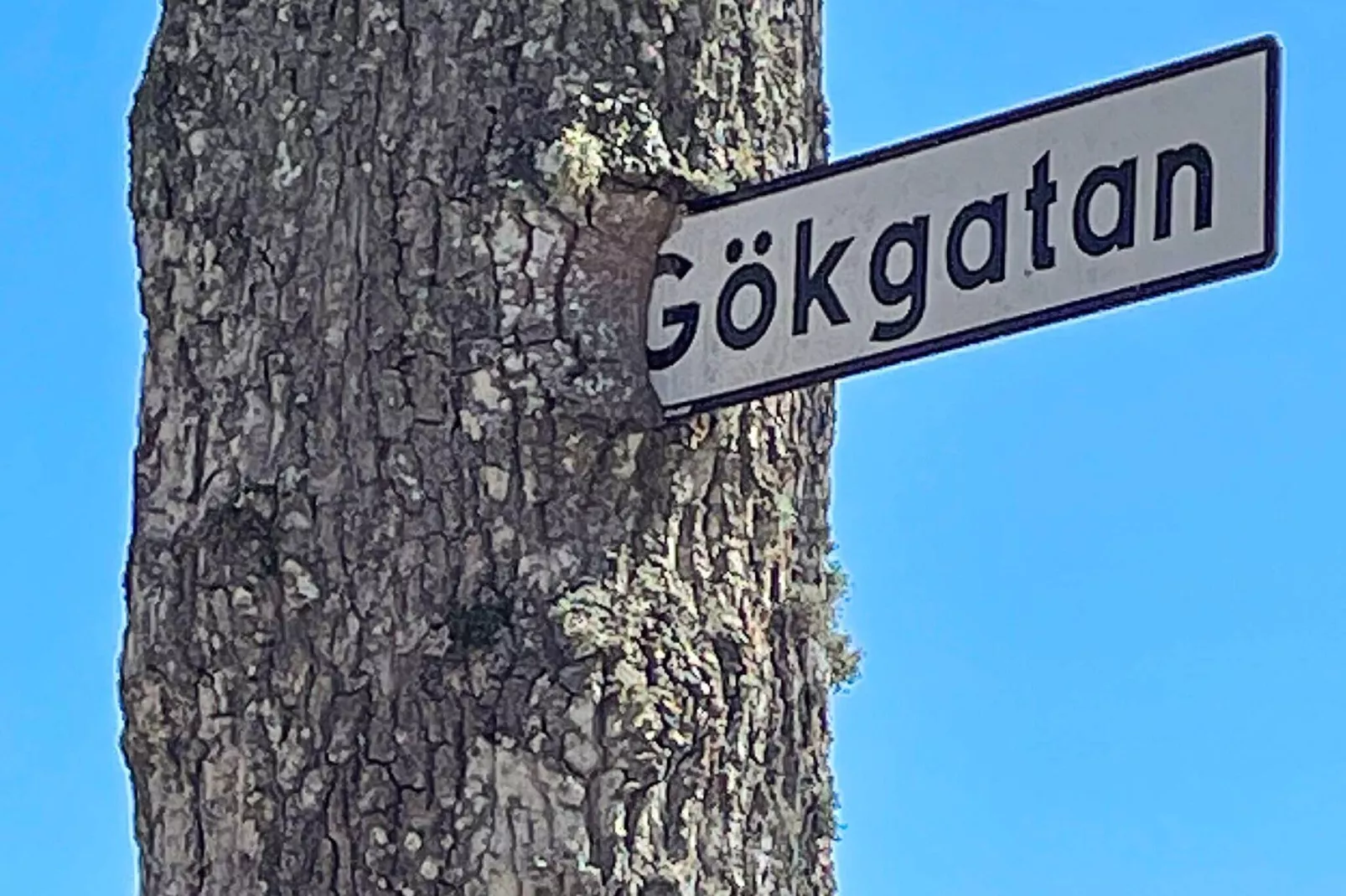 4 persoons vakantie huis in ALVESTA-By Traum-Niet-getagd