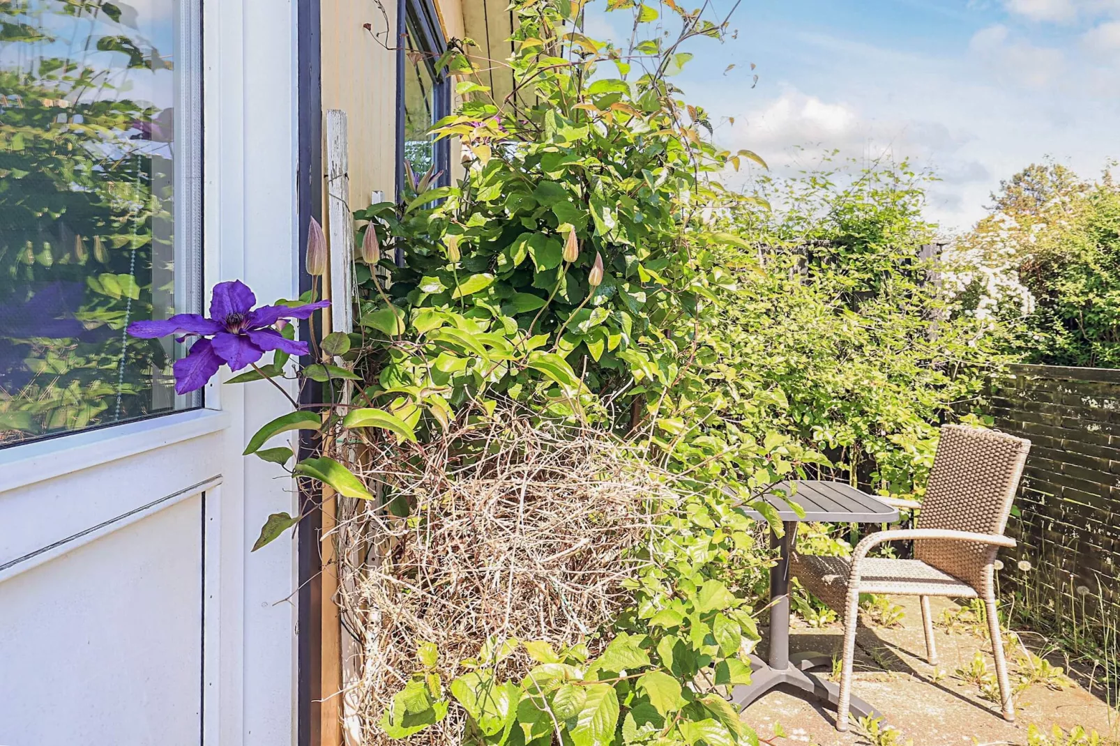 6 persoons vakantie huis in Bogø By