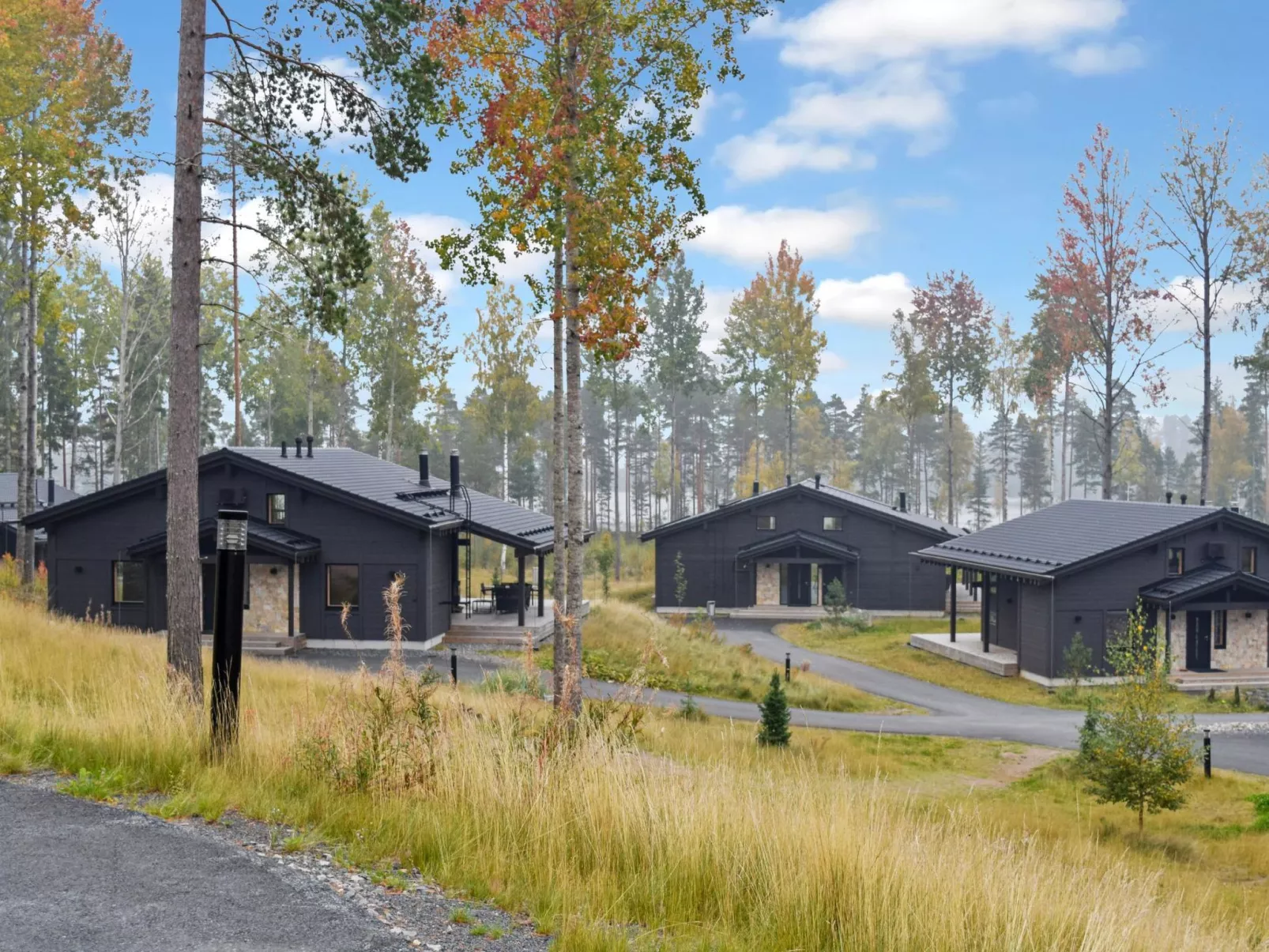 Eerikkilä huvila 132-Binnen