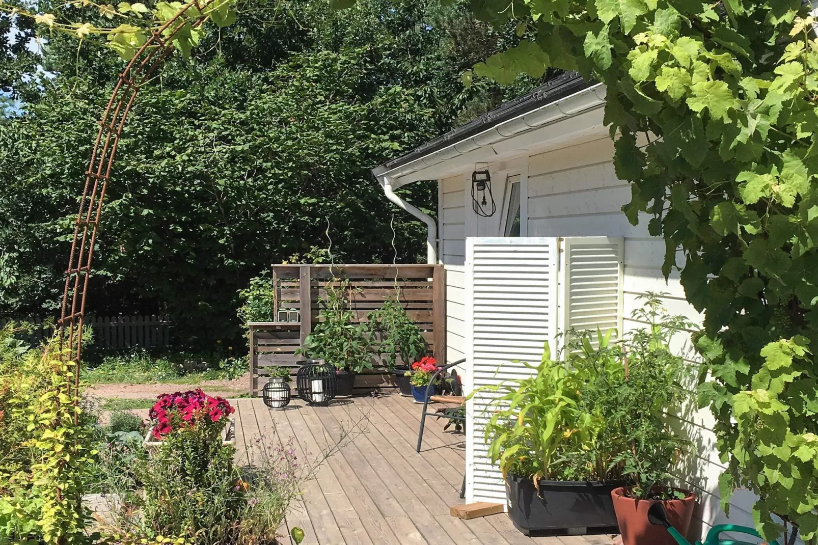 4 Personen vakantie huis in BORGHOLM-Buitenlucht