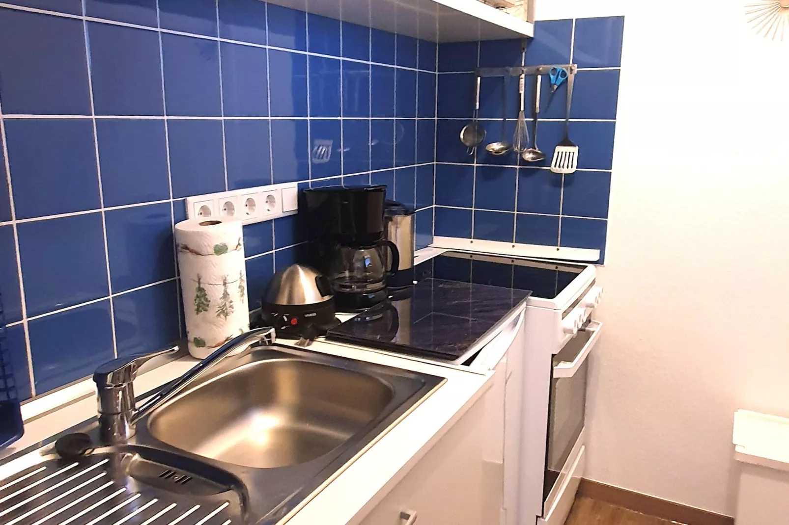 1 SZ/3P Winterberg Appartement 21123-Keuken