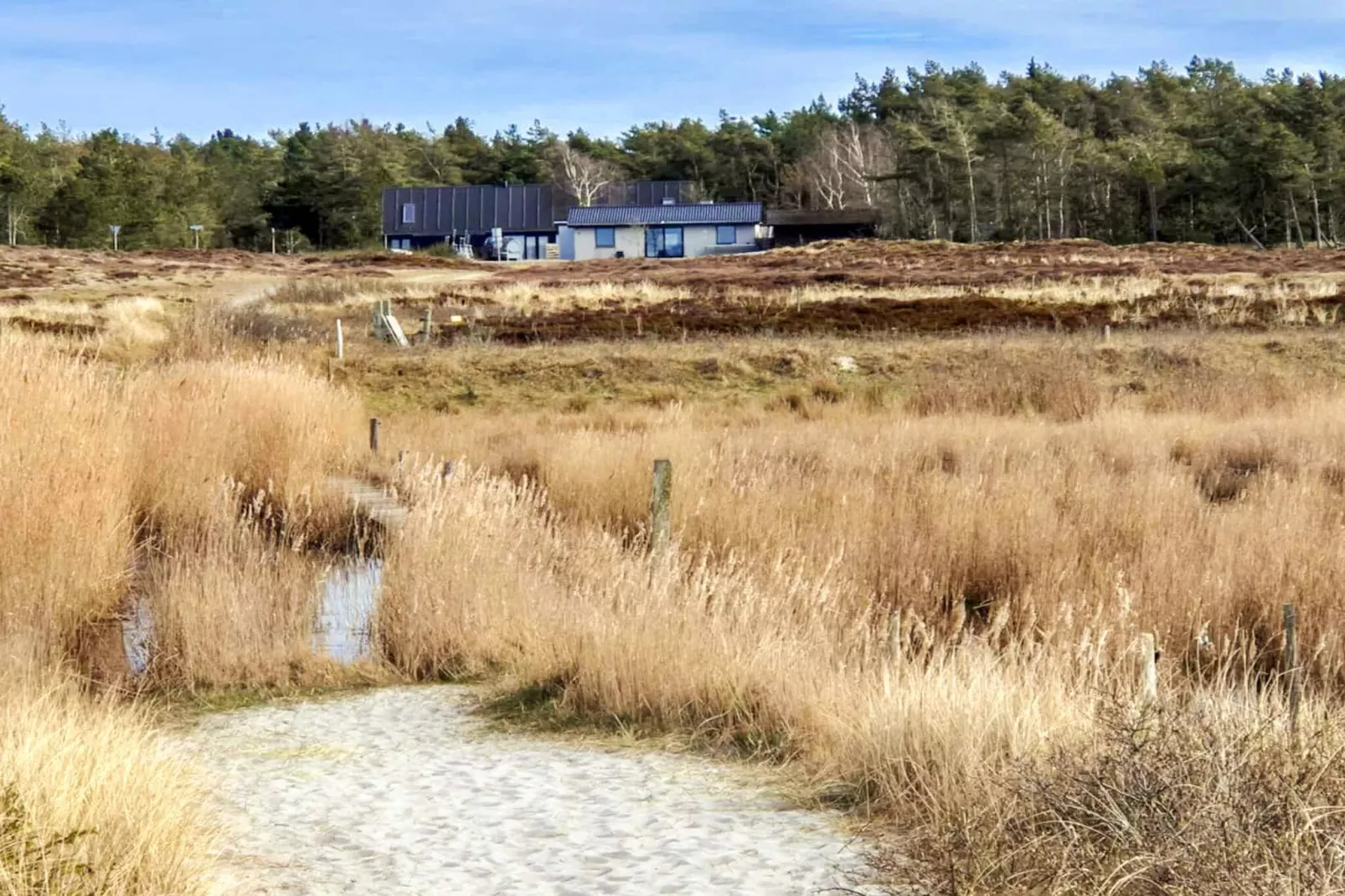5 persoons vakantie huis in Læsø-Uitzicht