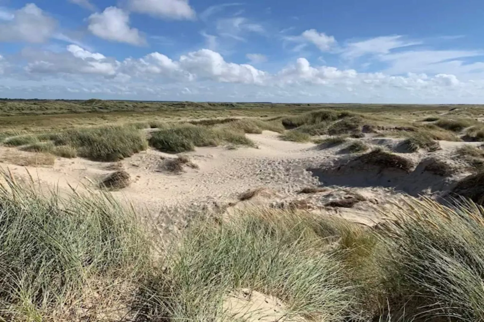 5 persoons vakantie huis in Rømø-By Traum-Niet-getagd