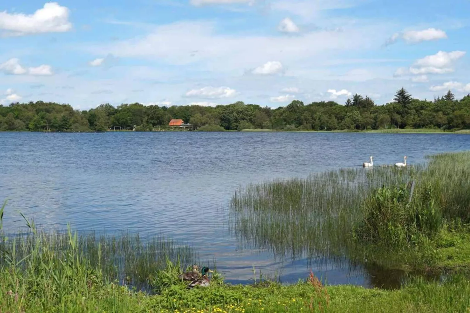 5 persoons vakantie huis in Ansager-By Traum-Waterzicht