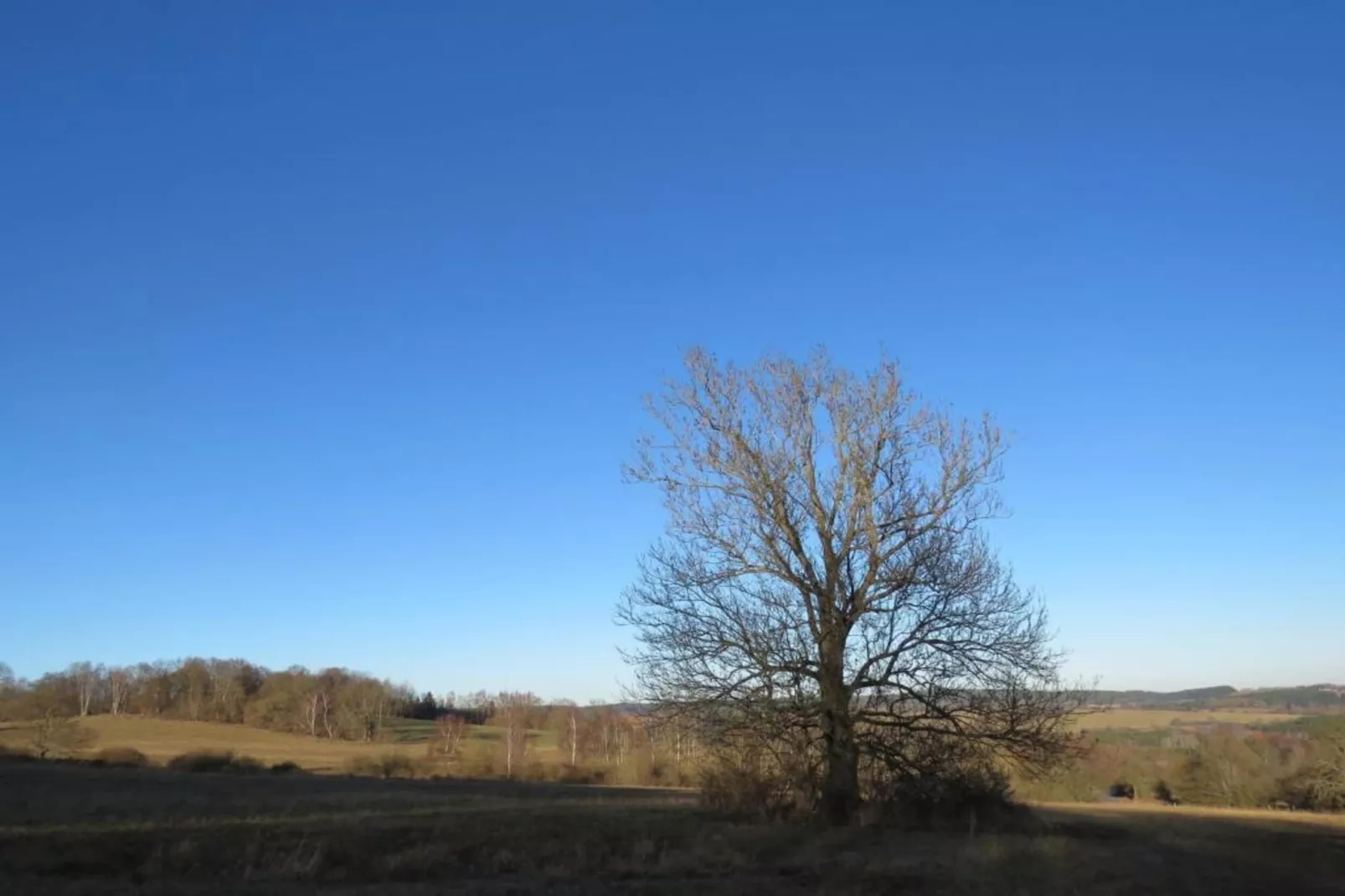 Fara-Gebieden zomer 5km