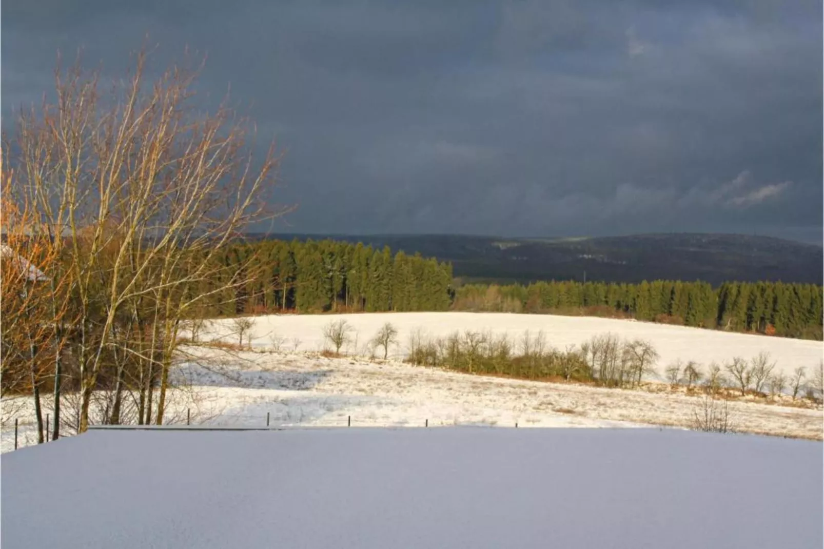 Holzhaus Ute-Gebieden zomer 20km