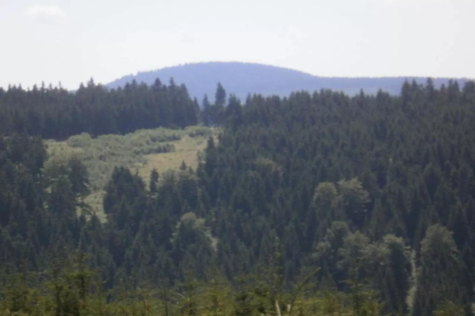 Rittersgrün-Gebieden zomer 20km