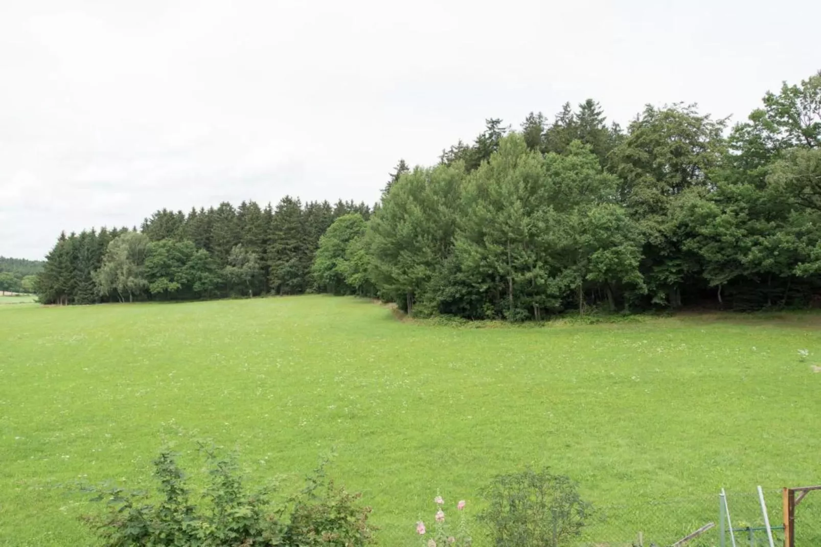Vogtland-Gebieden zomer 20km