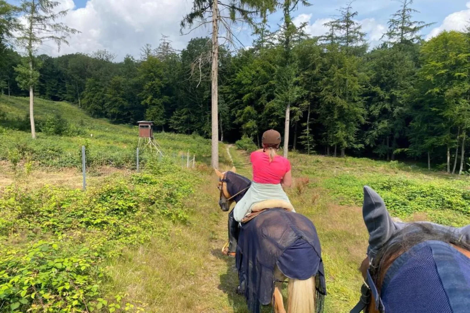 Im Teutoburger Wald-Gebieden zomer 5km