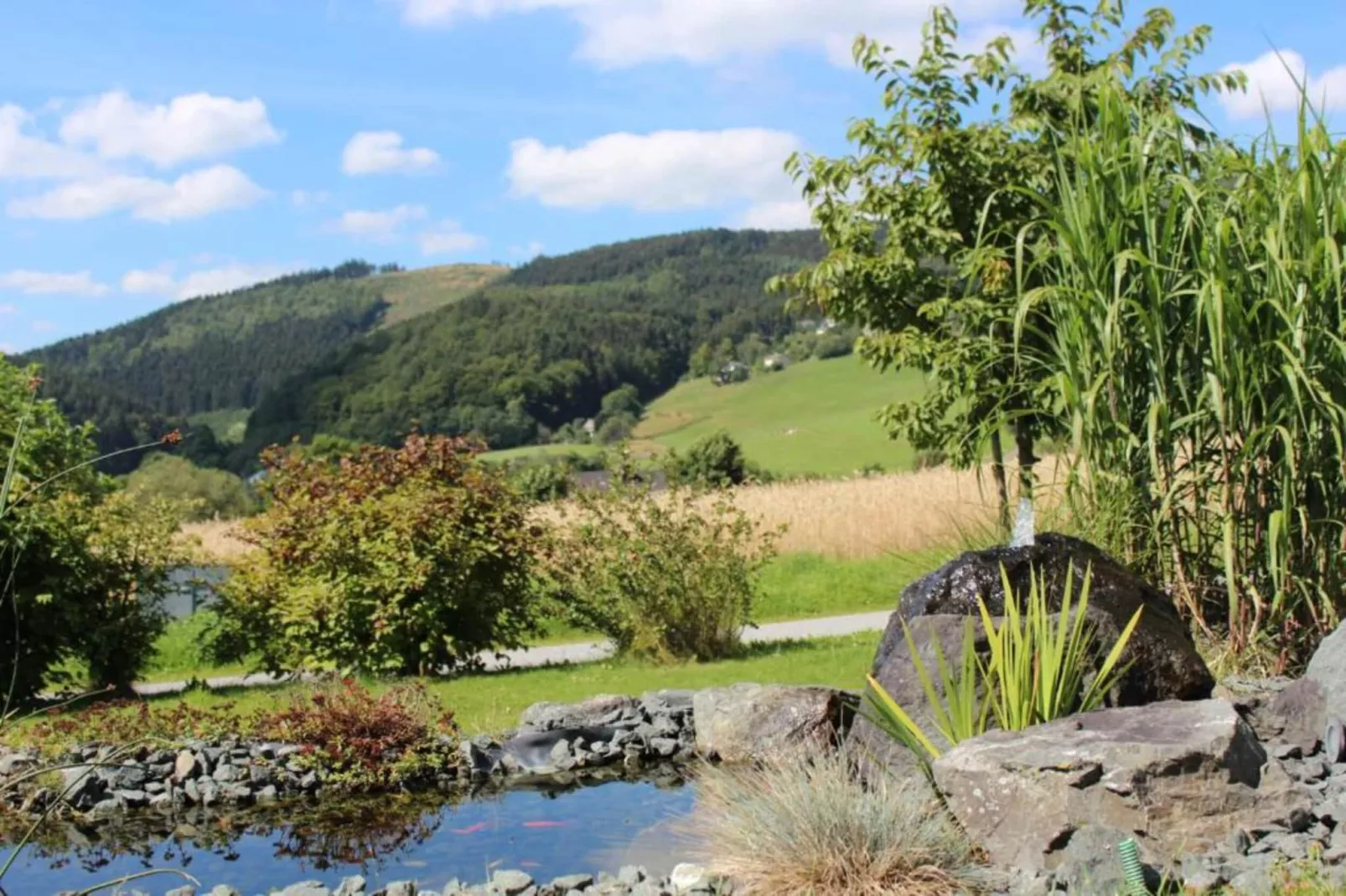Willingen-Gebieden zomer 5km
