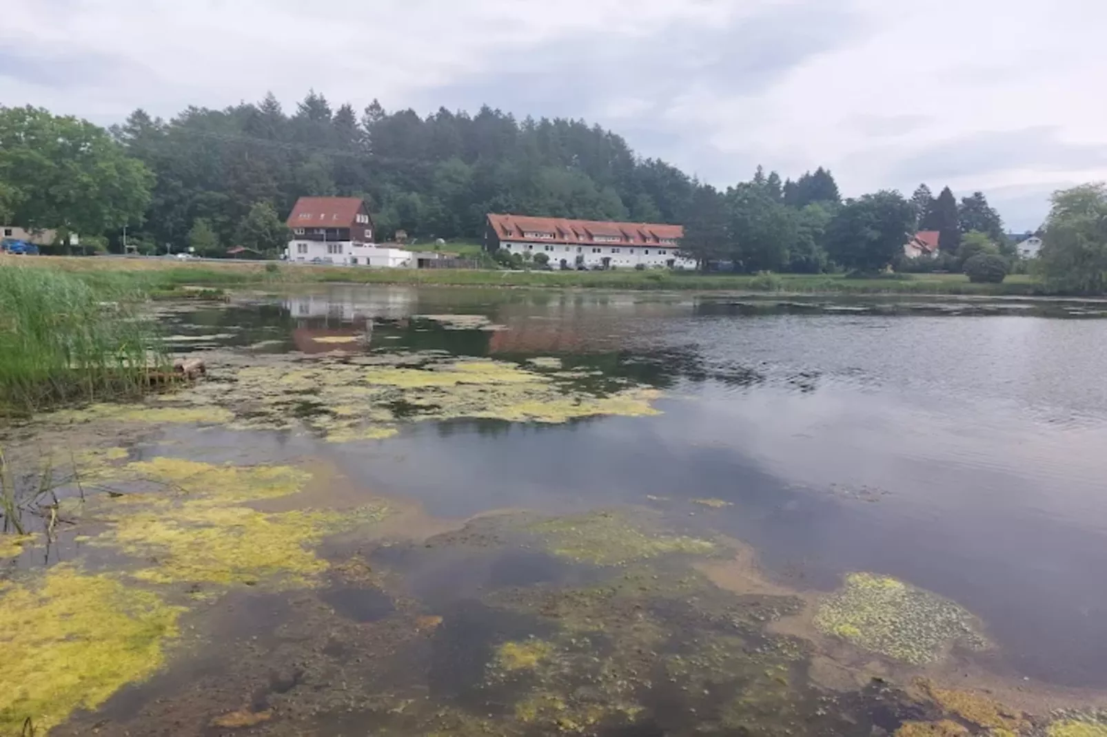 Am Berg-Gebieden zomer 1km