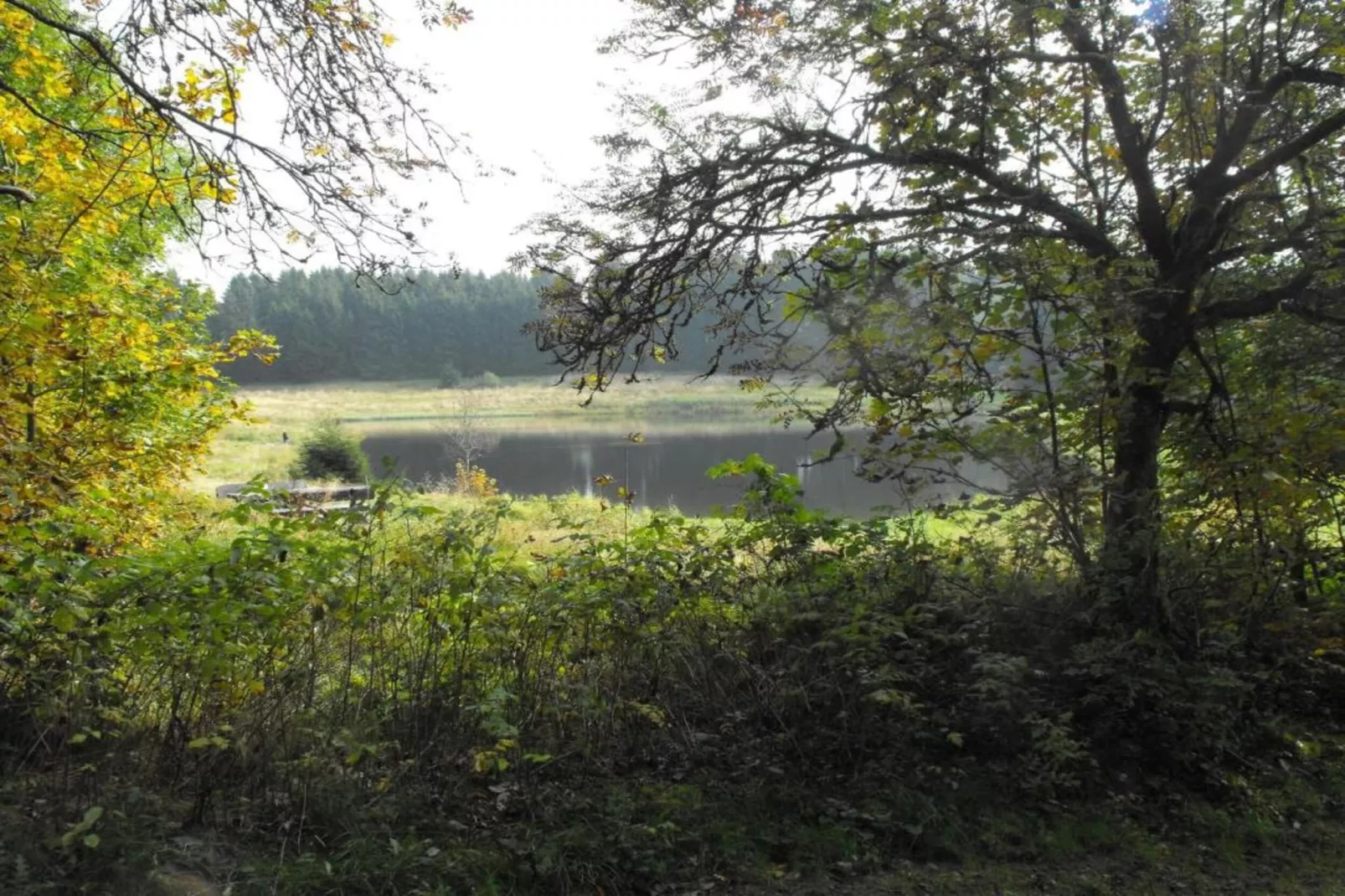 Spiegeltal-Gebieden zomer 5km