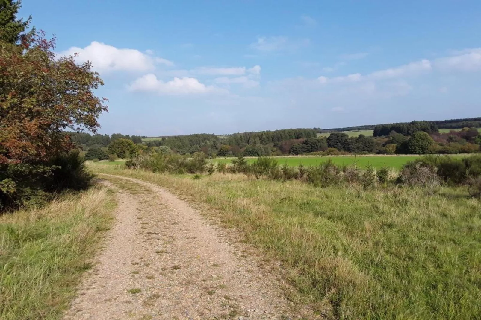 Morsbacher Hof I-Gebieden zomer 20km
