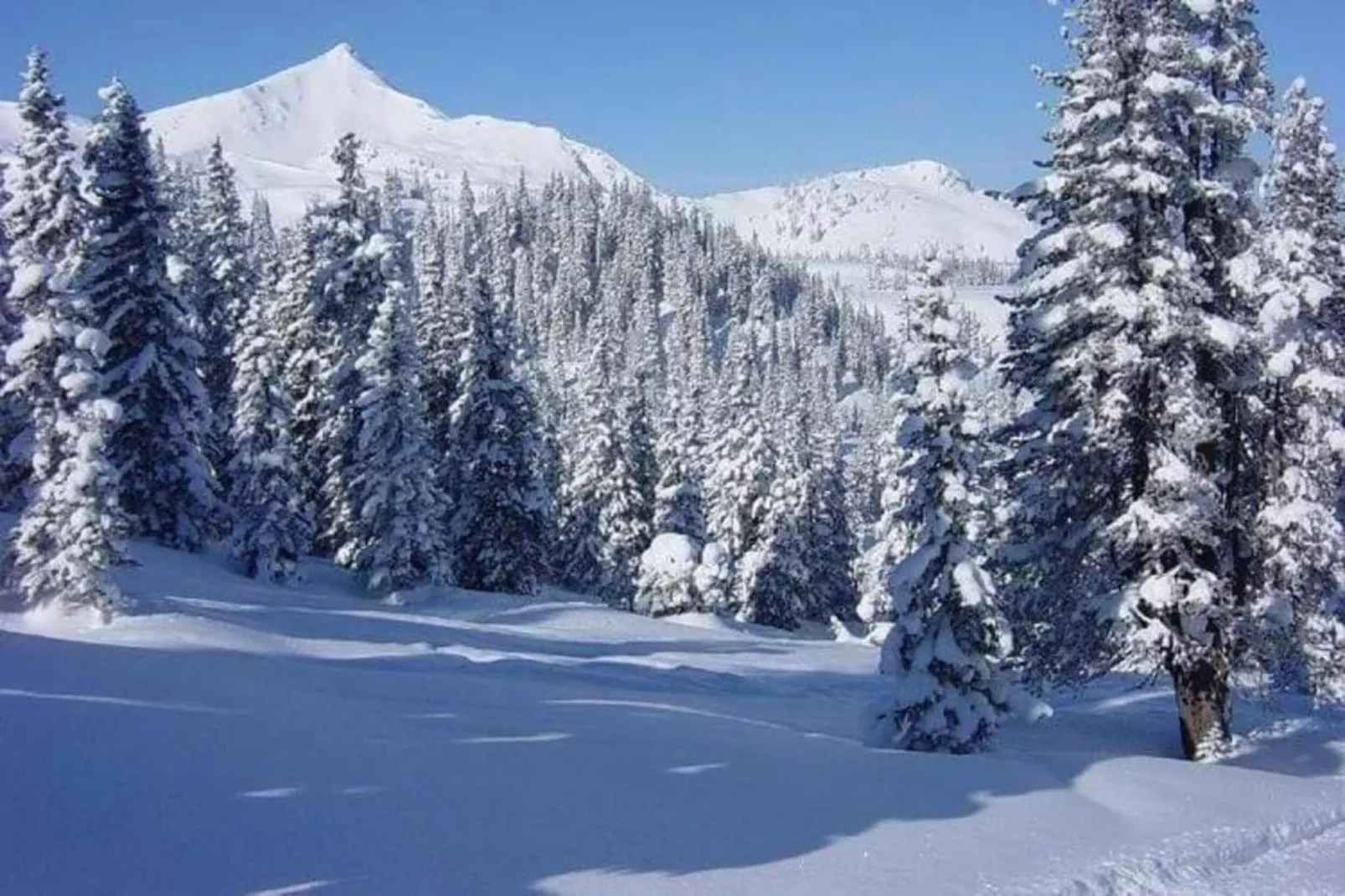 Kramer-Gebied winter 20km