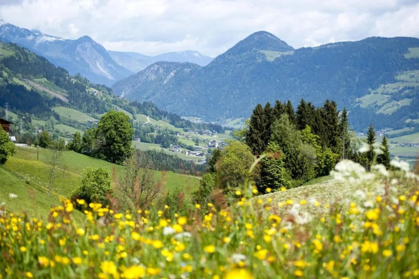 Alte Mühle-Gebieden zomer 20km