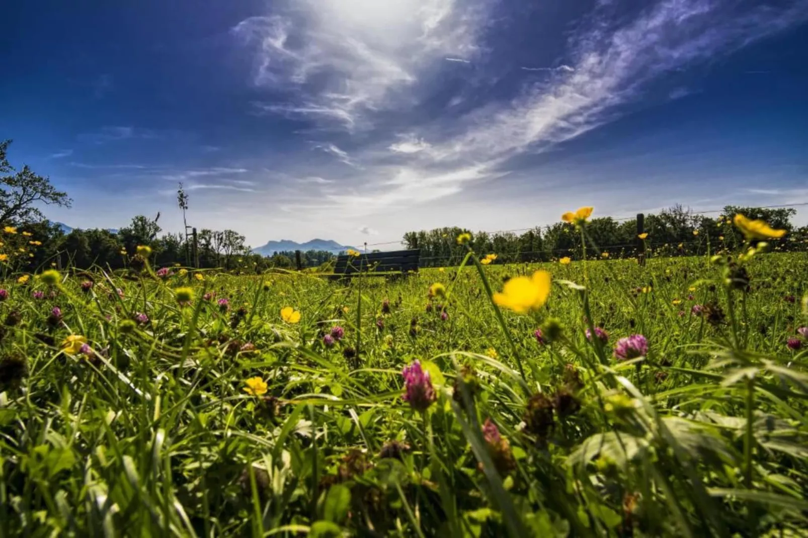 Ferien im Oberallgäu-Gebieden zomer 20km