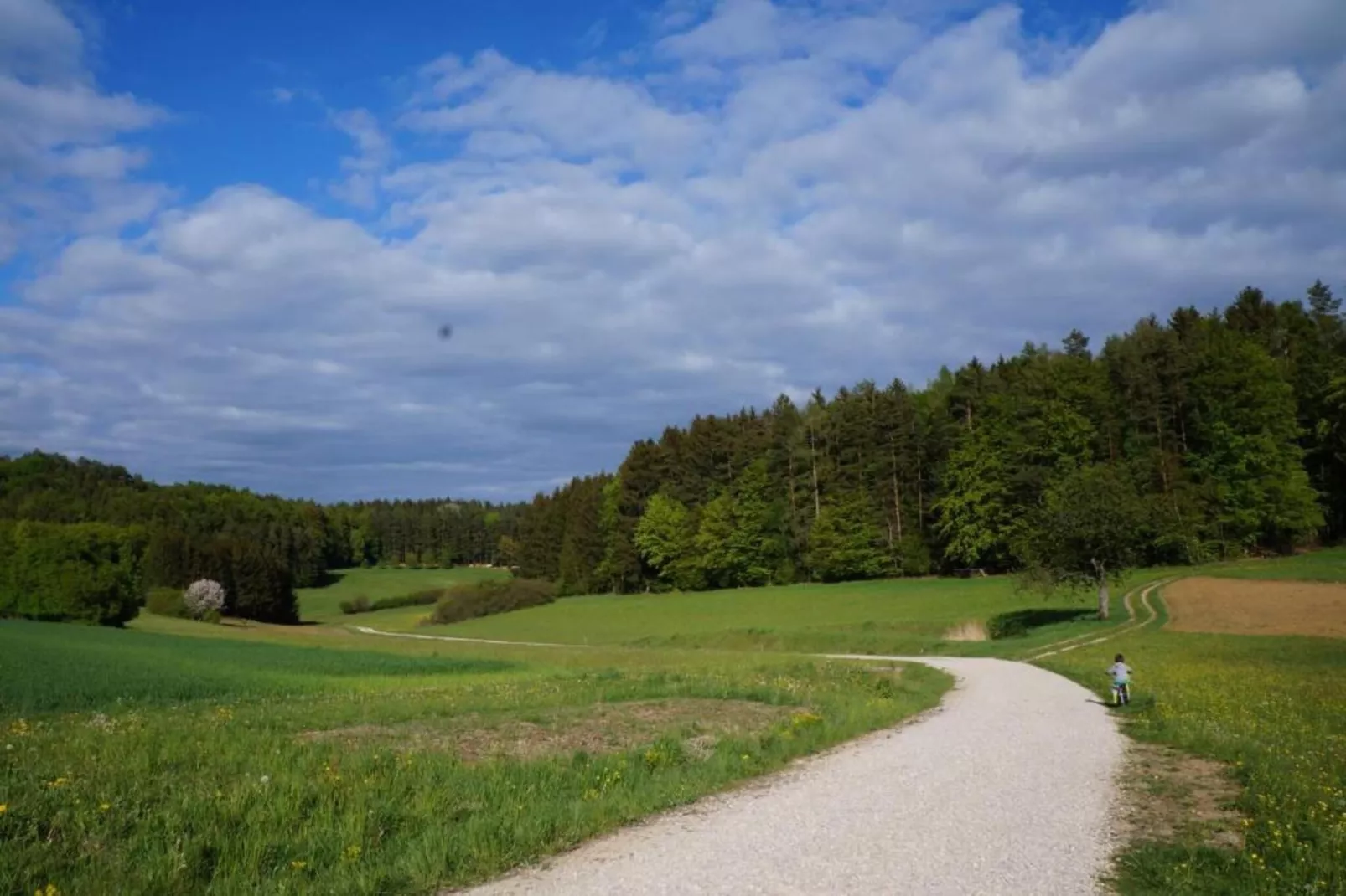 Ferienwohnung Haunsheim rechts-Gebieden zomer 20km