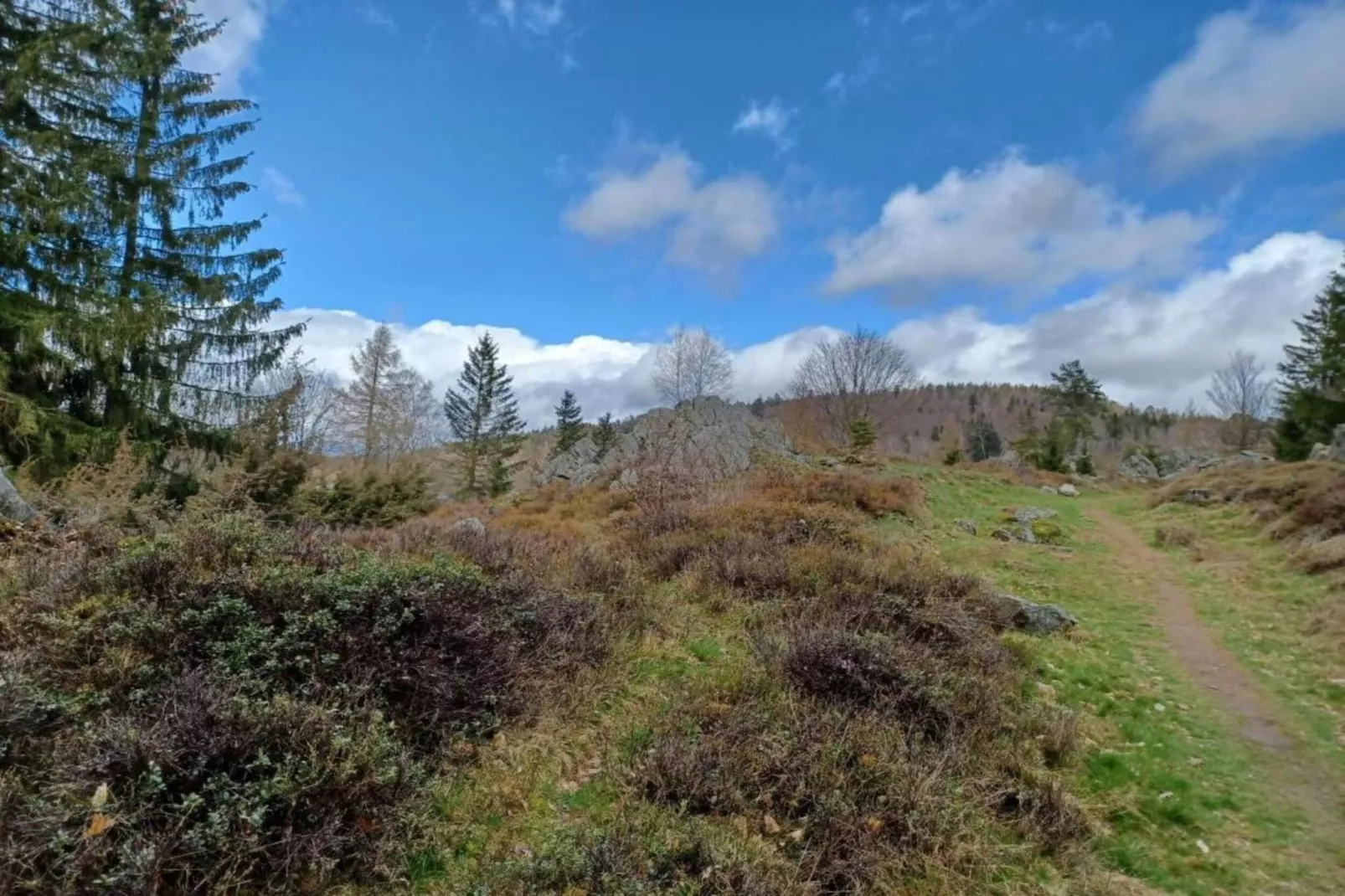 Bayerischer Wald-Gebieden zomer 20km