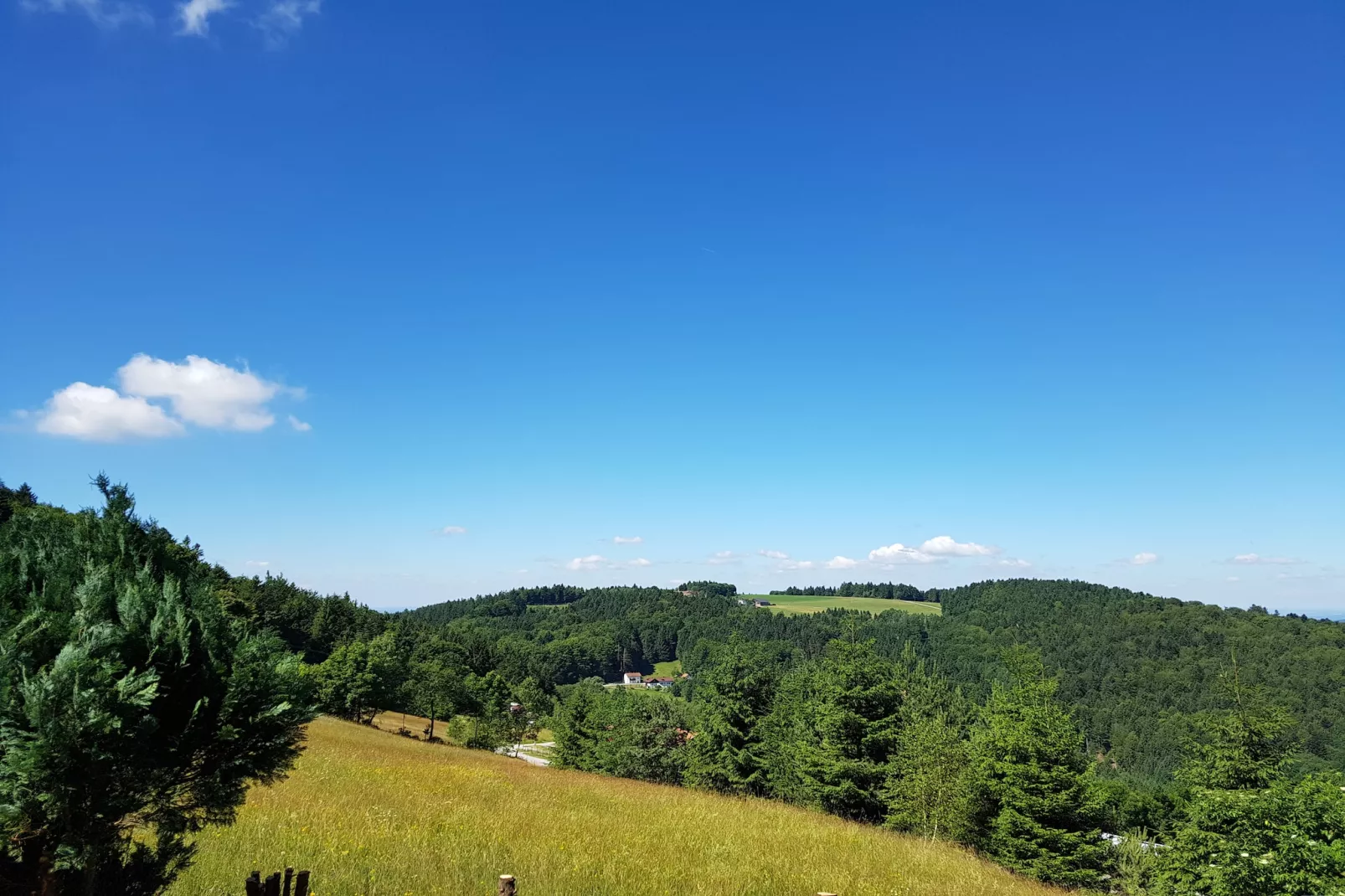 Talblick-Uitzicht zomer