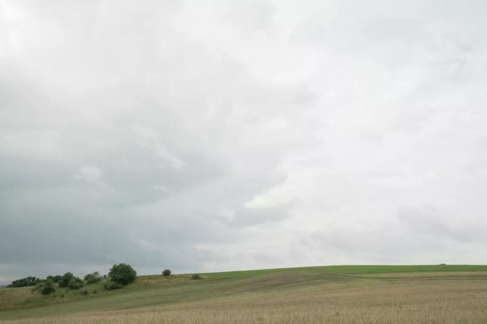 Neustadt-Gebieden zomer 20km