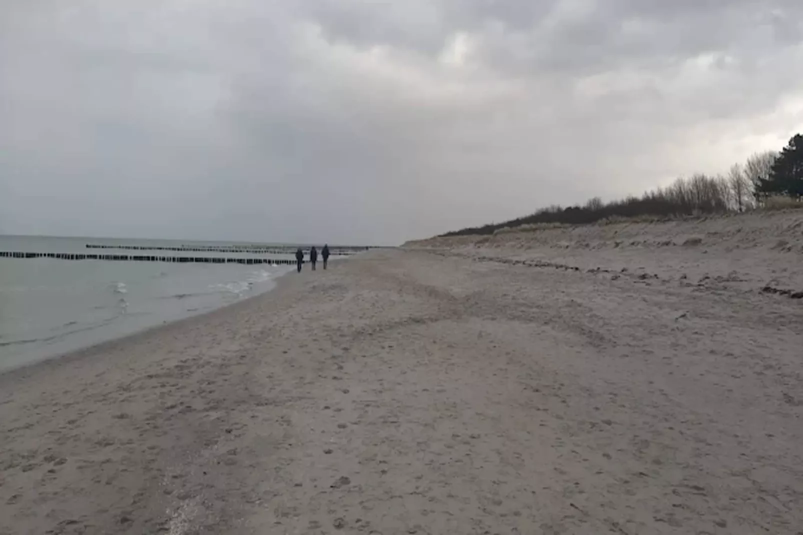 Ferienwohnung Zingst-Buhnen 24-Gebieden zomer 1km