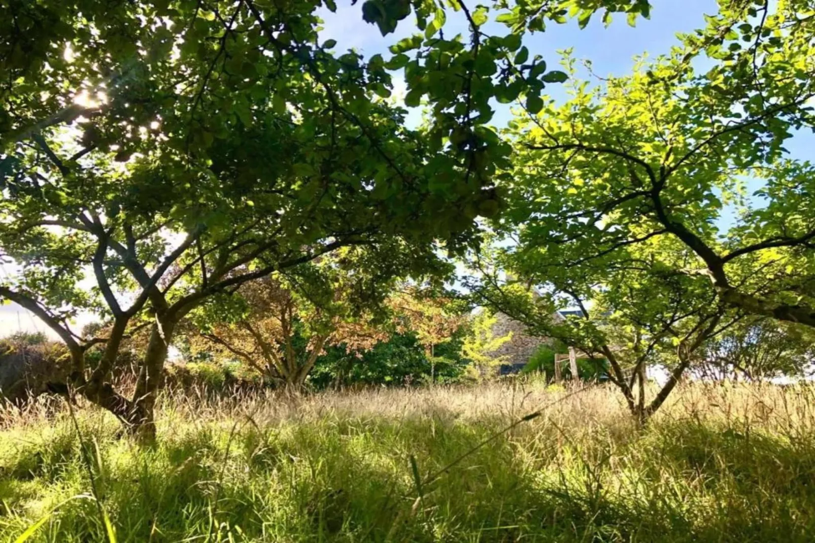 Maison Typique Bretonne-Gebieden zomer 20km