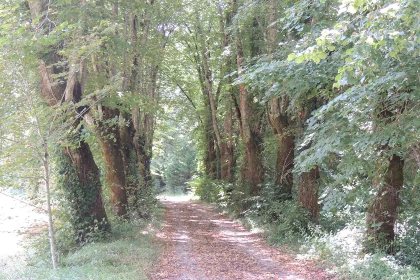 Le Rouvet près de Dordogne-Gebieden zomer 20km