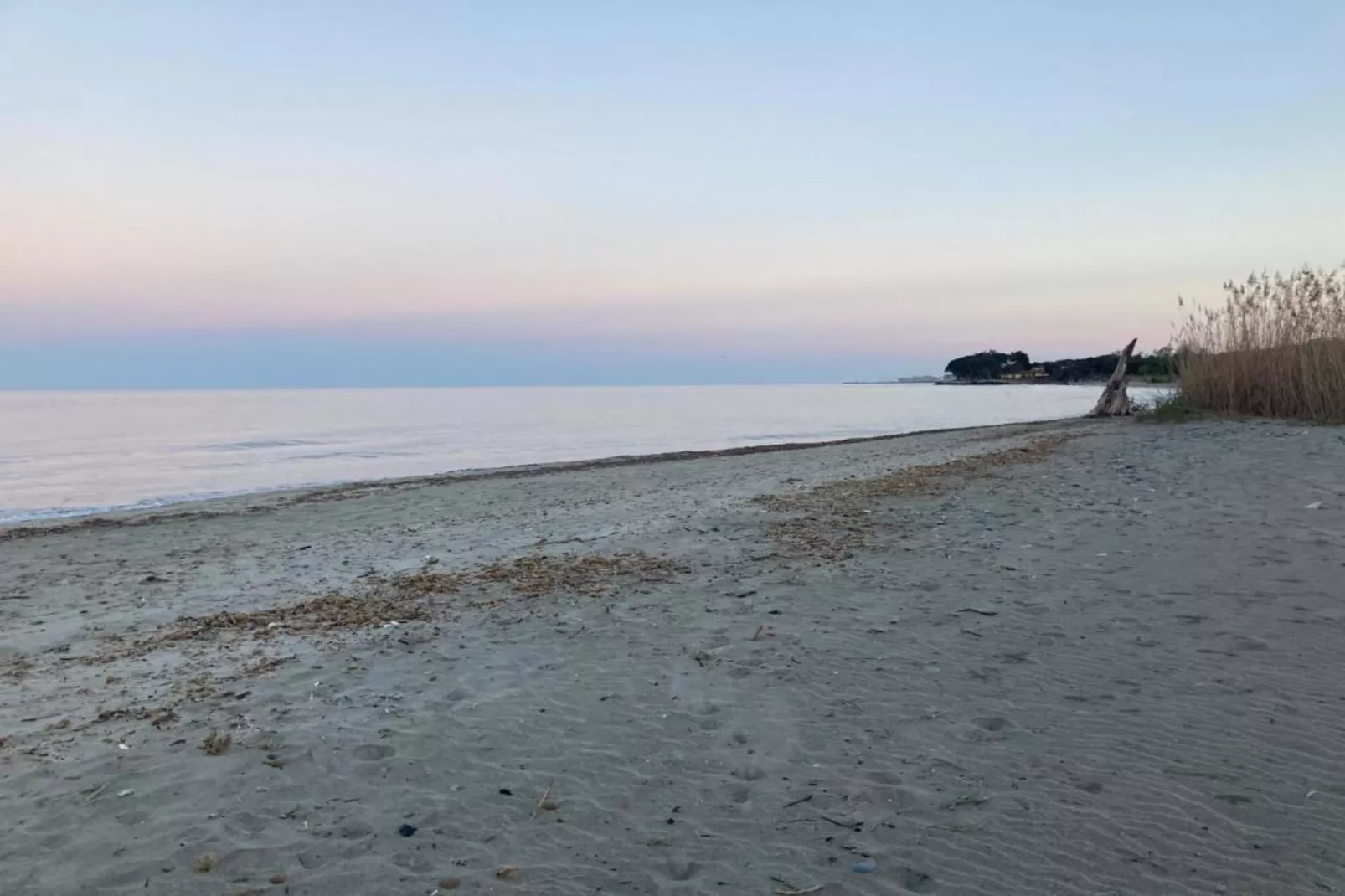 Le Vieux Pressoir-Gebieden zomer 1km