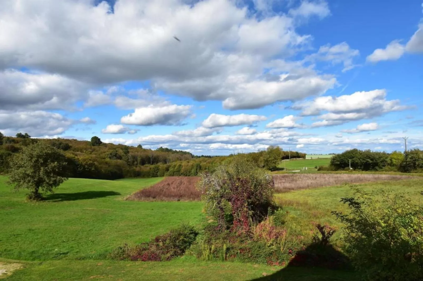 Maison de vacances Besse les Vitarelles 4 pers-Gebieden zomer 20km