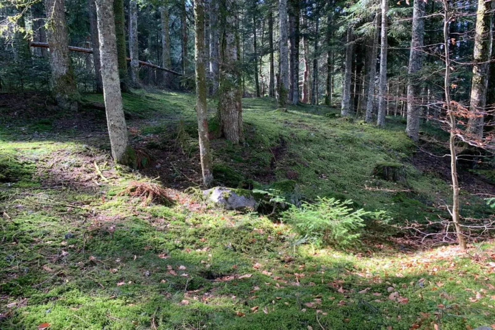 Gite -   SAUVAIN-Gebieden zomer 5km