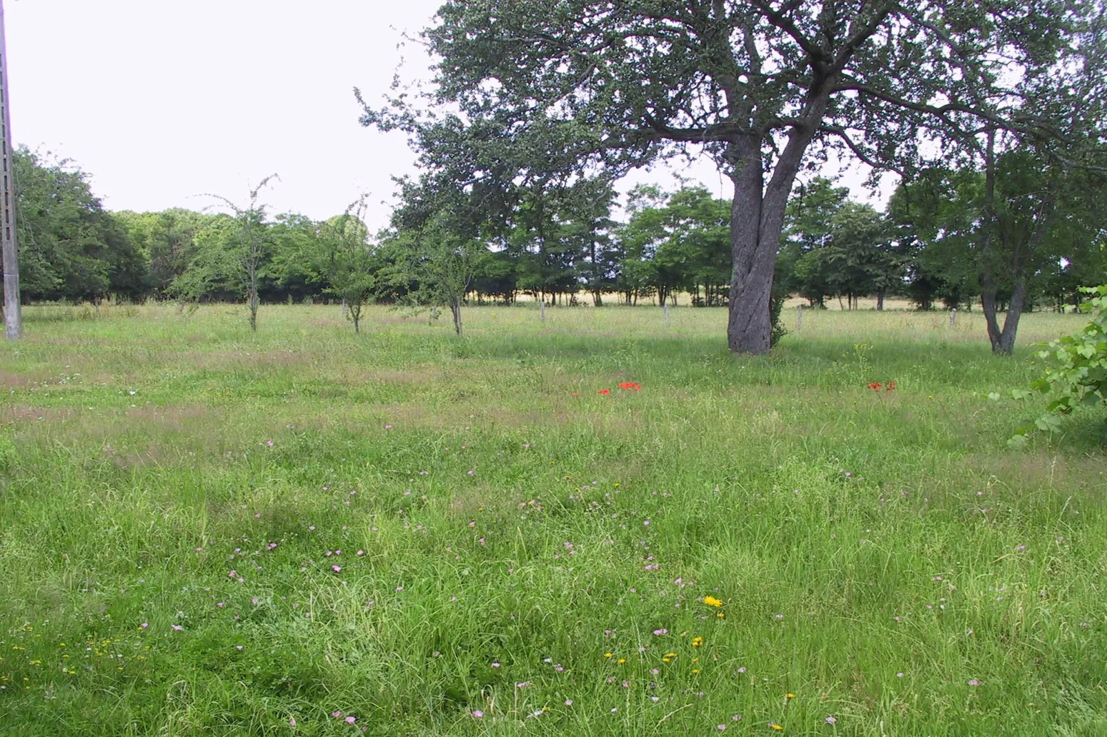 Gite 7 pers Decize-Gebieden zomer 1km