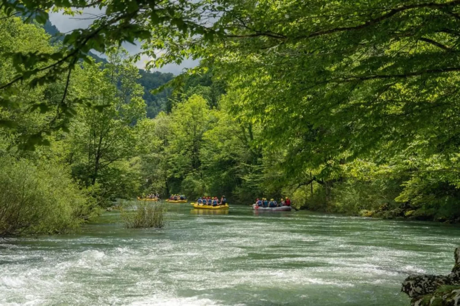 Holiday Houses Silvano-Gebieden zomer 20km
