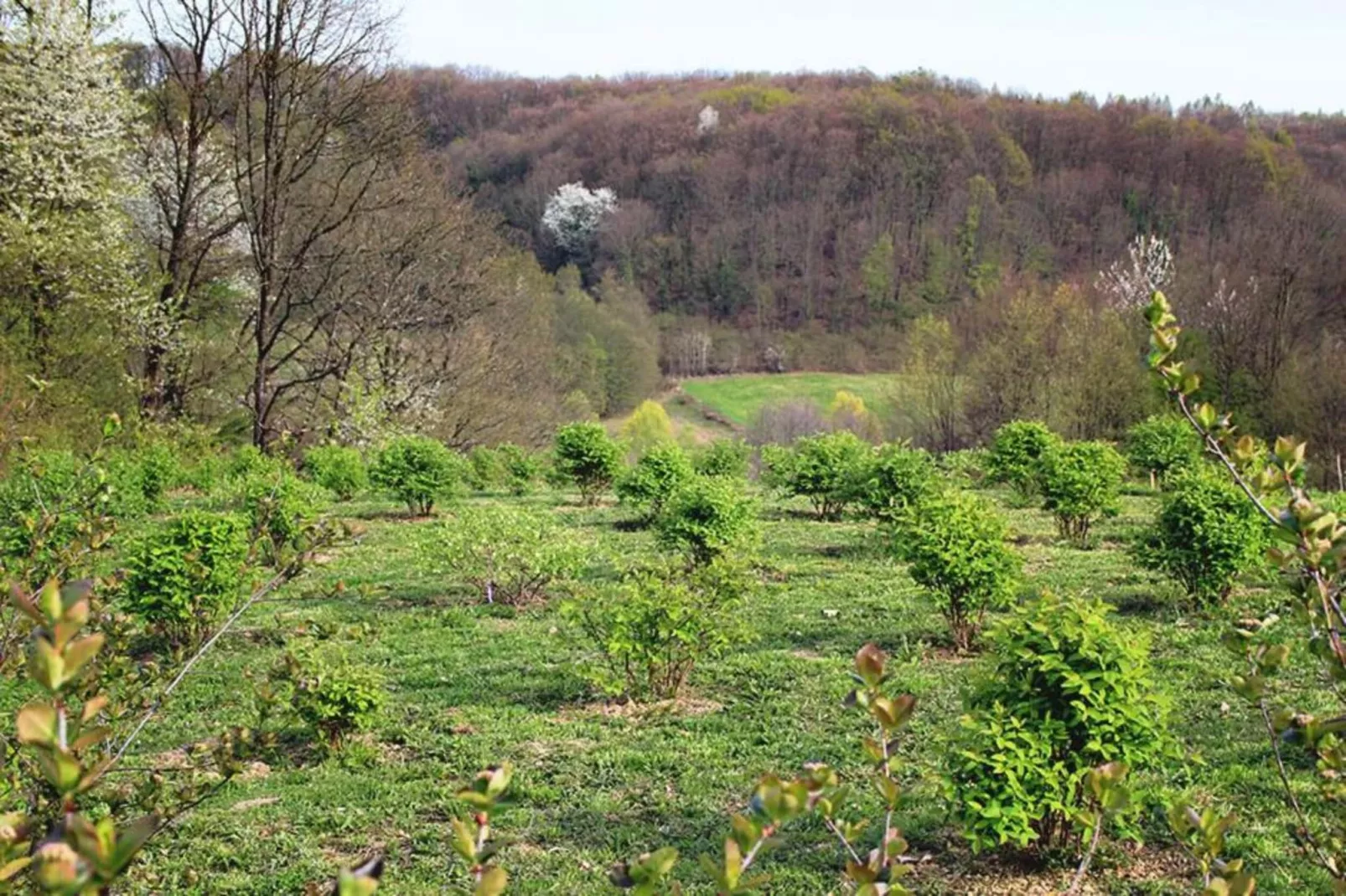 Holiday home near Zagreb-Gebieden zomer 5km