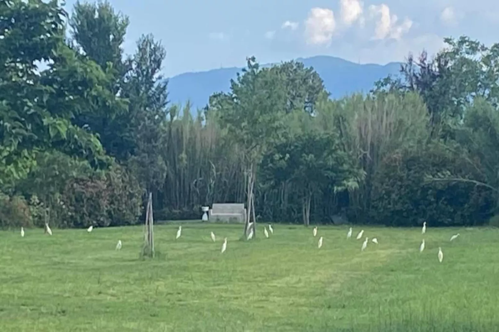 Saliceto Bilocale-Gebieden zomer 20km