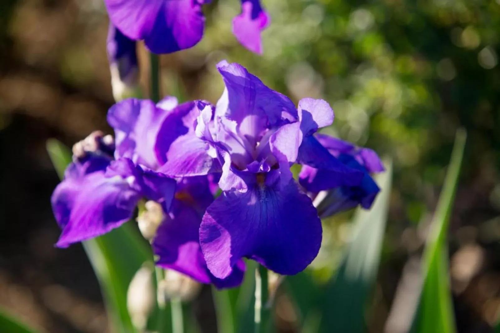 Villa Anita-Gebieden zomer 20km
