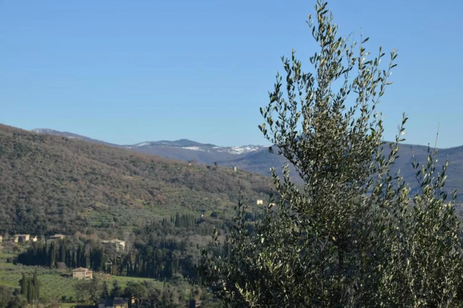 San Martino Ulivi-Gebieden zomer 20km