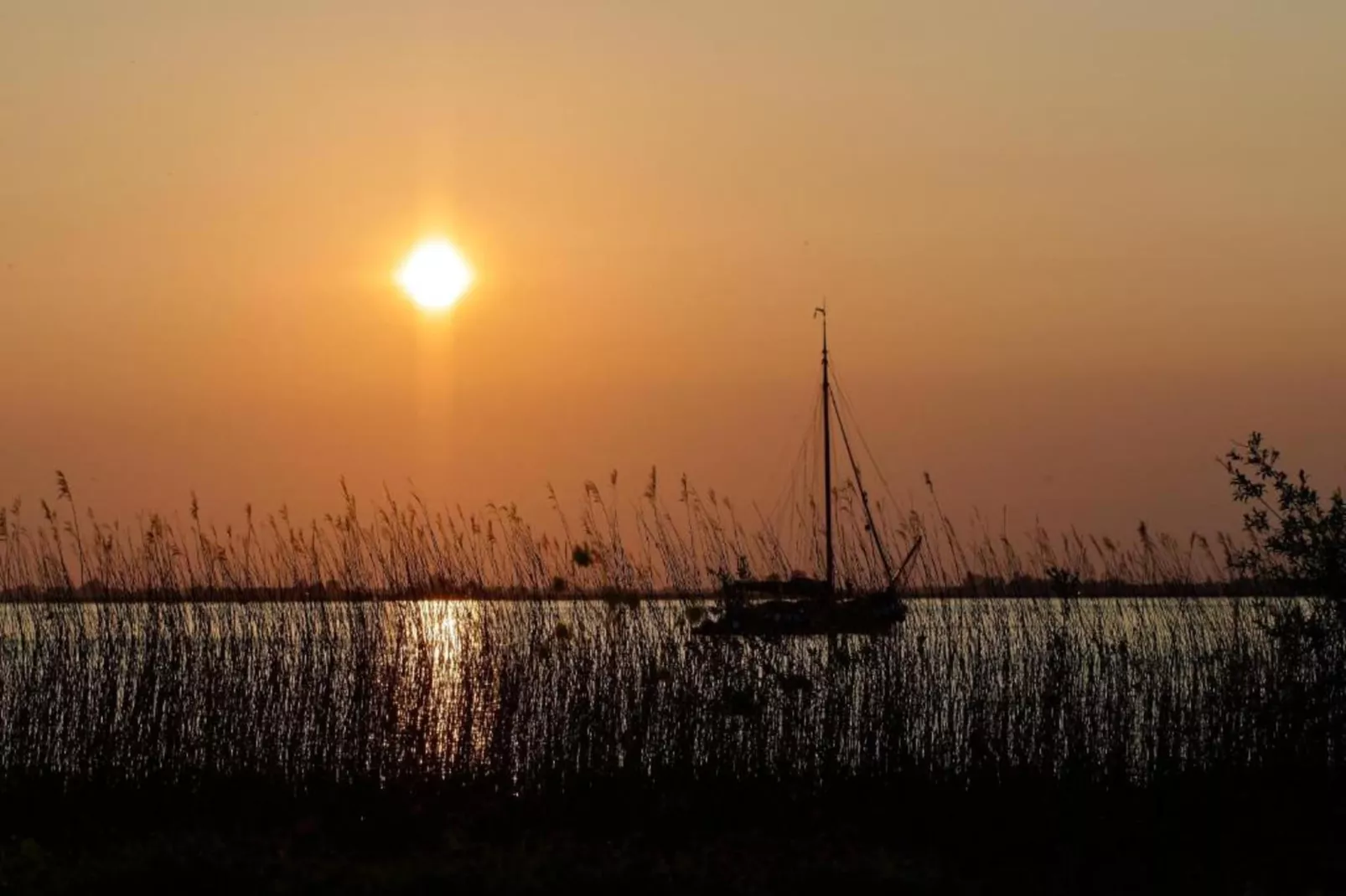 Knus chalet in Friesland met hottub-Gebieden zomer 20km