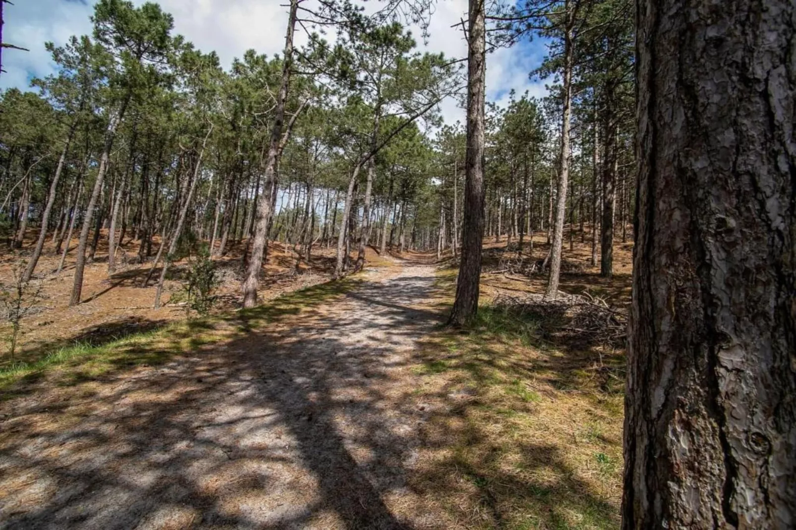Villa Jean-Gebieden zomer 20km