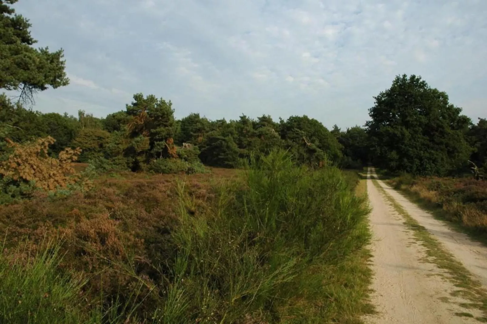 Recreatiepark de Boshoek 13-Gebieden zomer 20km