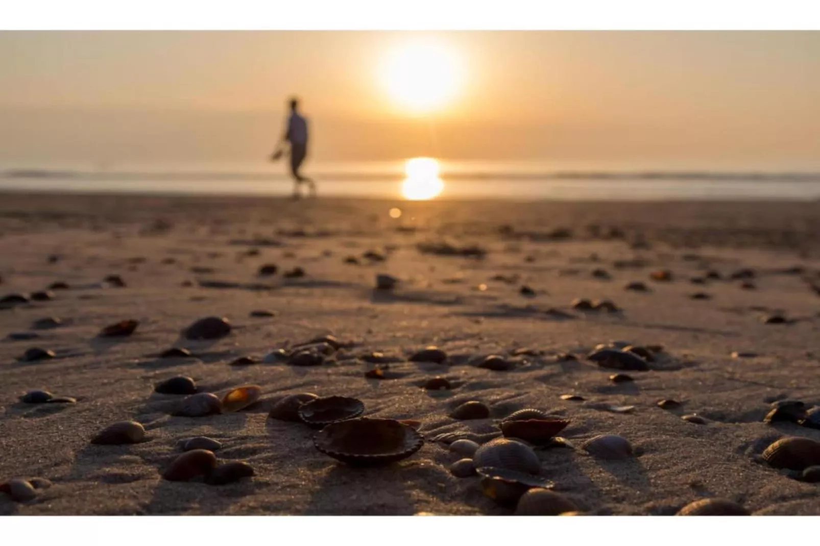 Vakantiepark Hof Domburg 24-Gebieden zomer 20km