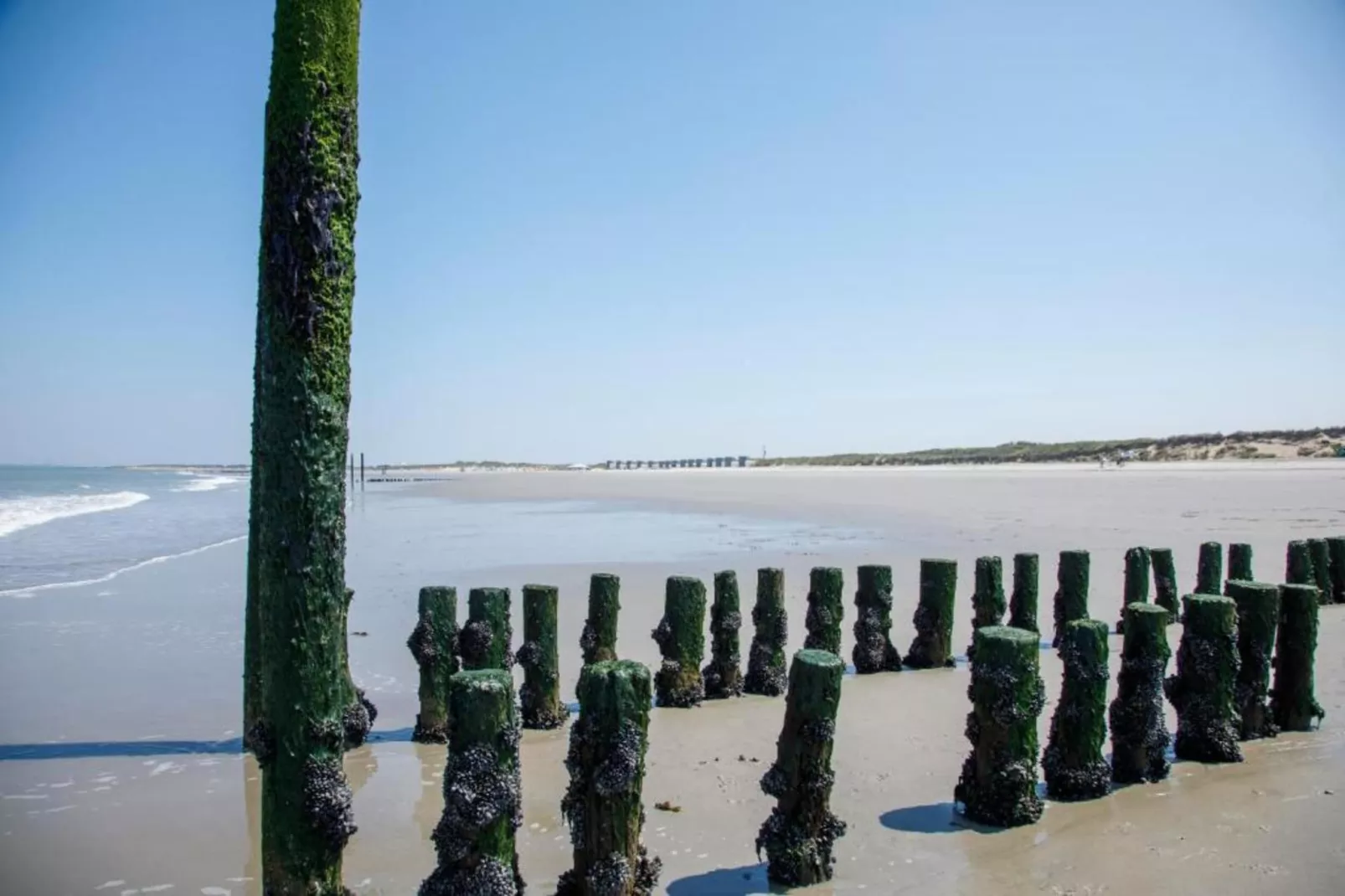 Beach Resort Nieuwvliet-Bad 17 - Gebieden zomer 20km