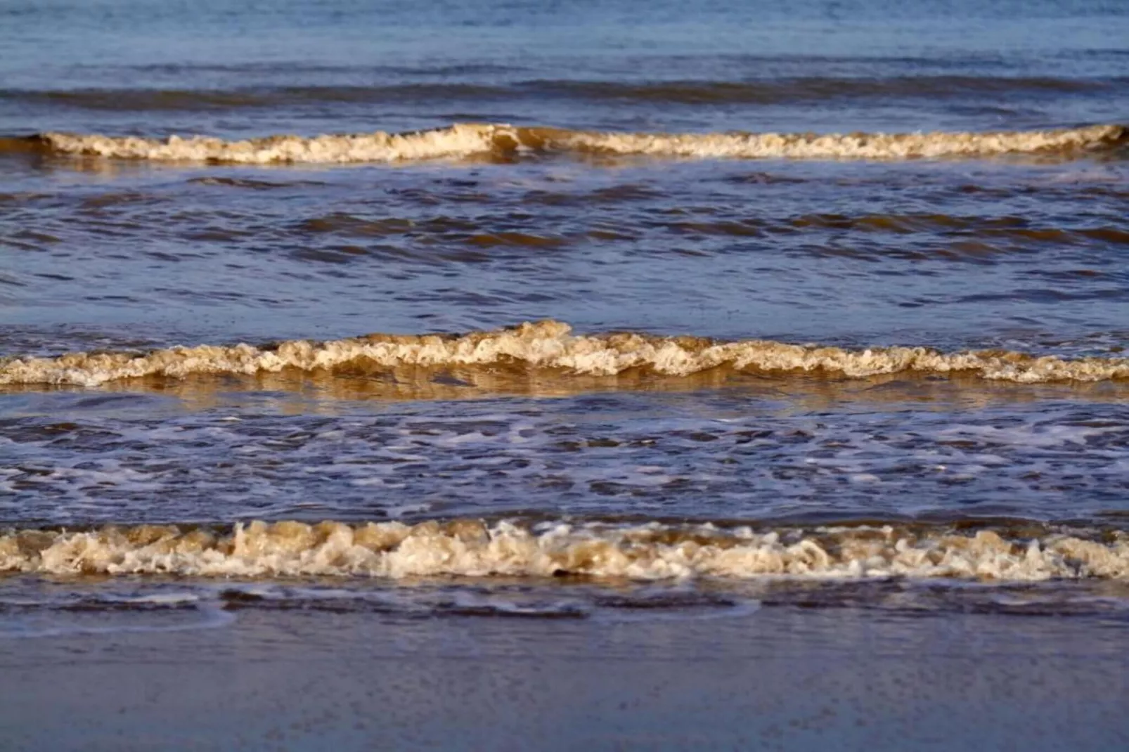 Beach Resort Nieuwvliet-Bad 16-Gebieden zomer 20km