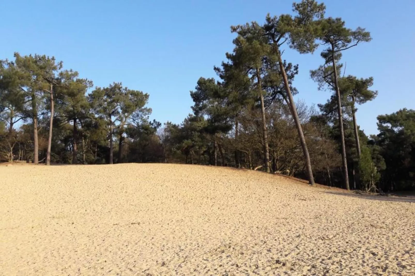 Recreatiepark Duinhoeve 9-Gebieden zomer 20km