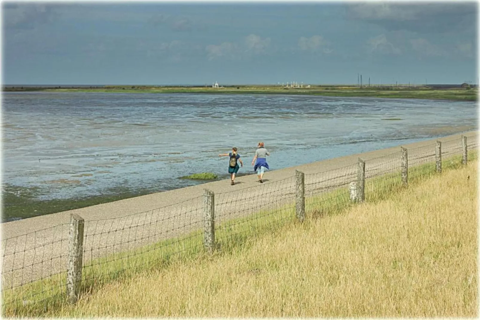 De Grutto-Gebieden zomer 20km