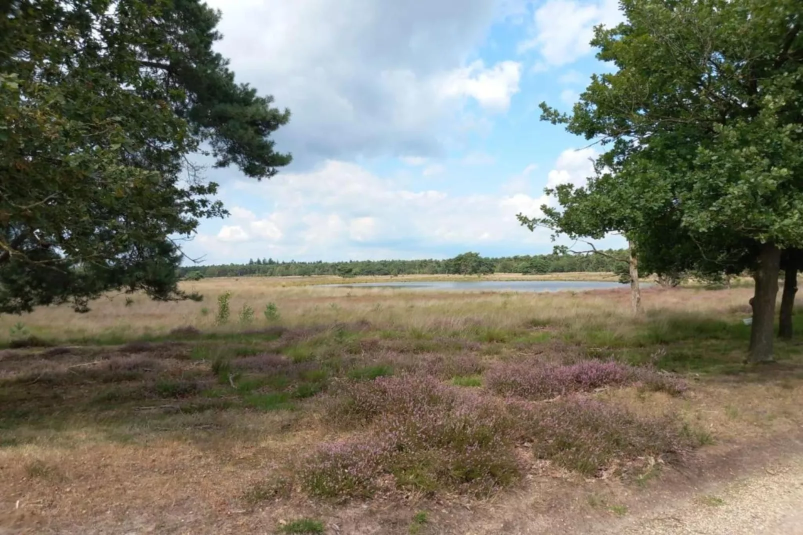 Park De Peel 3-Gebieden zomer 20km
