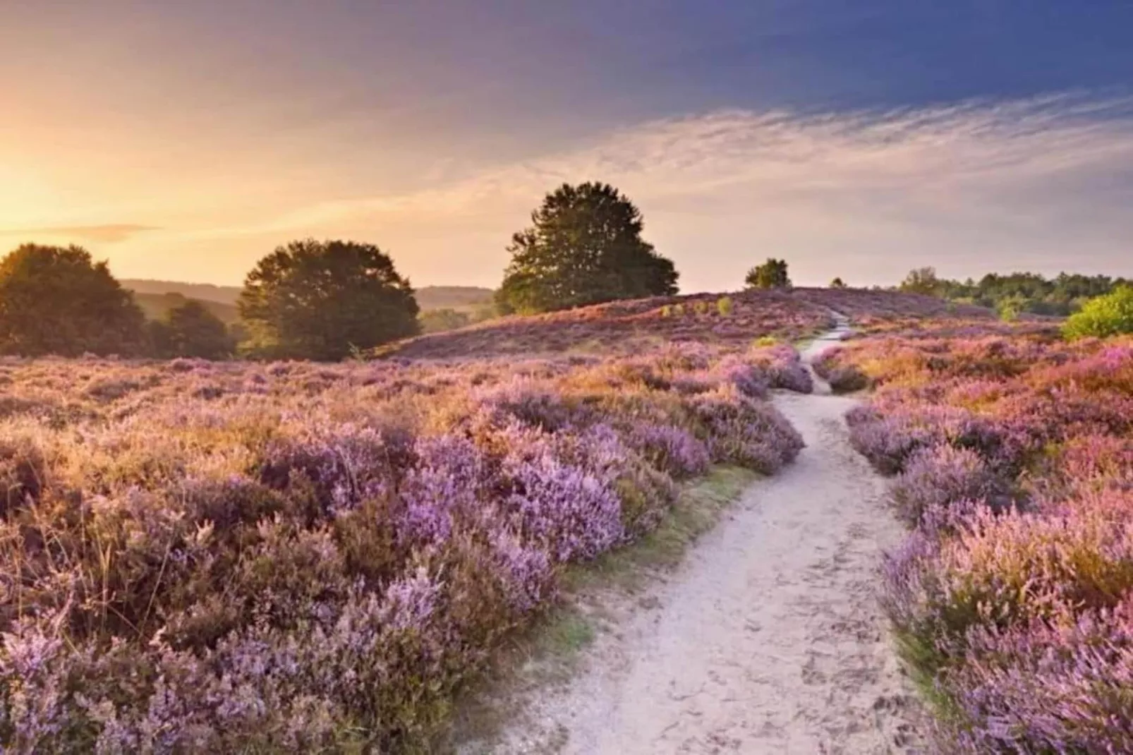 Bungalowpark Hoenderloo 2-Gebieden zomer 20km