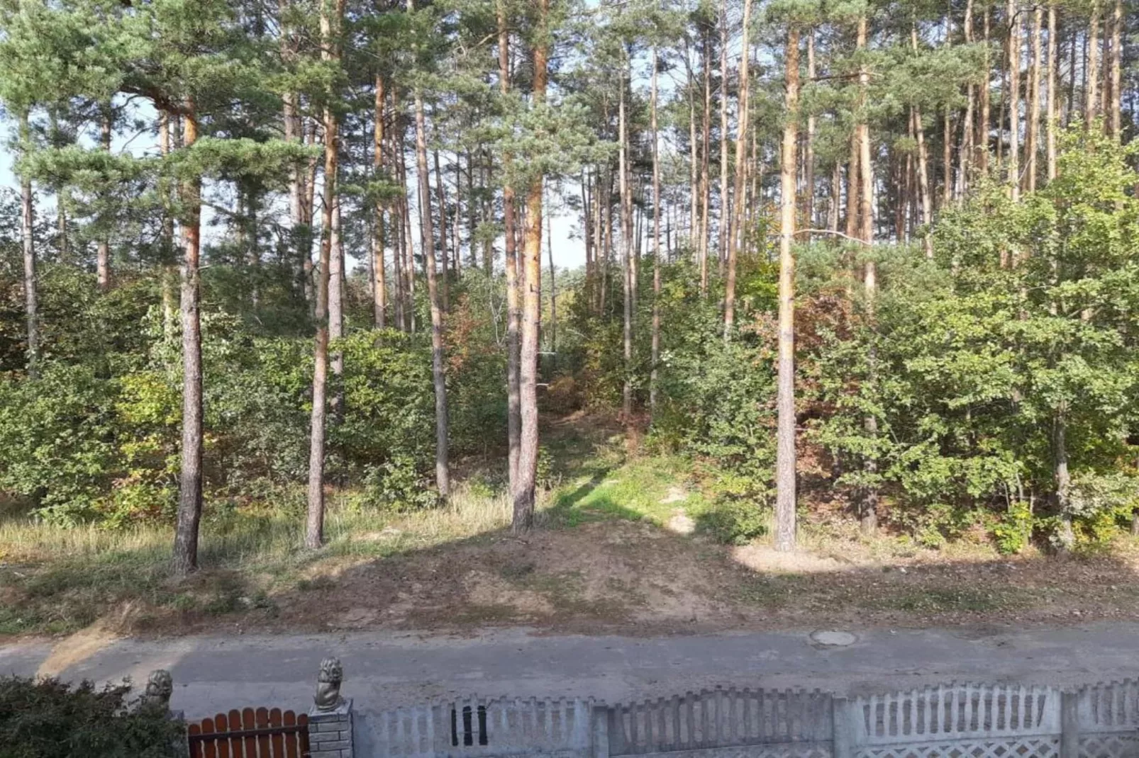 Holiday home Jedrek-Gebieden zomer 20km