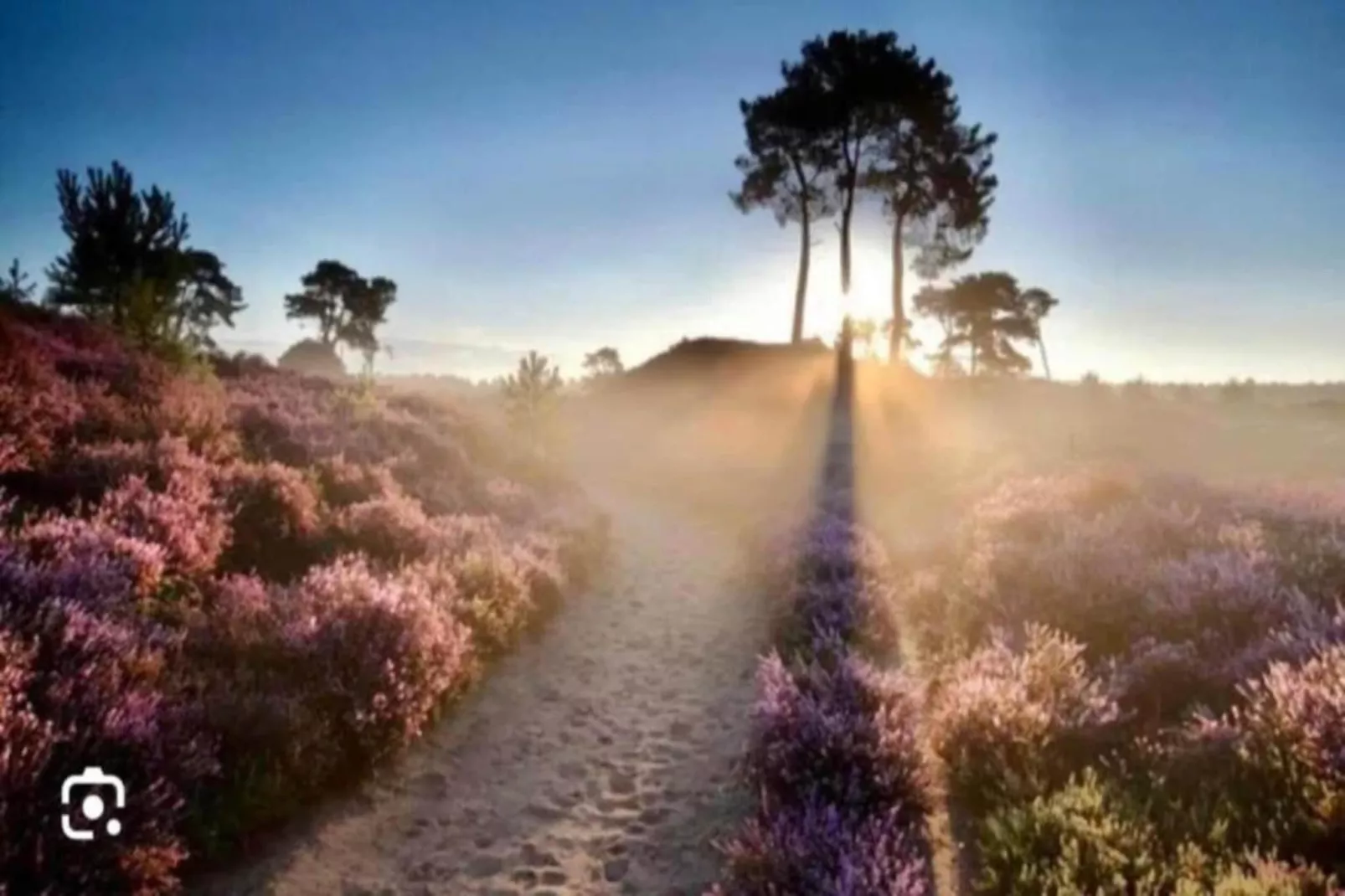RCN Vakantiepark de Noordster 3-Gebieden zomer 20km