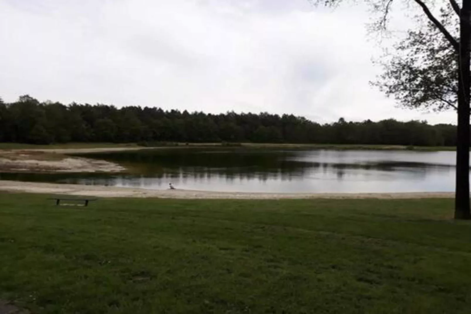 Villa Zonnewijzer-Gebieden zomer 20km